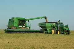 Harvest 041